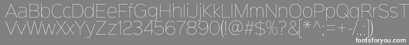 Sinkinsans100thin Font – White Fonts on Gray Background