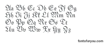 Review of the MonarchiaBold Font