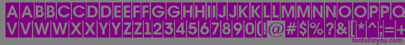 Шрифт AAvantetitulcmBold – фиолетовые шрифты на сером фоне