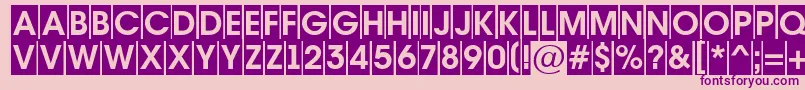 AAvantetitulcmBold Font – Purple Fonts on Pink Background
