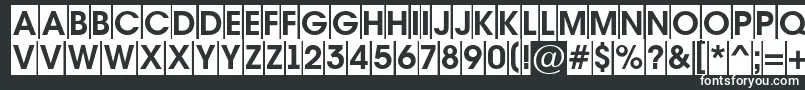 AAvantetitulcmBold Font – White Fonts on Black Background