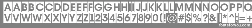 AAvantetitulcmBold-fontti – valkoiset fontit harmaalla taustalla
