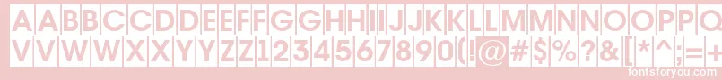 AAvantetitulcmBold Font – White Fonts on Pink Background