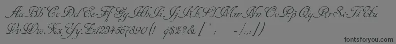 Cansellarist-Schriftart – Schwarze Schriften auf grauem Hintergrund