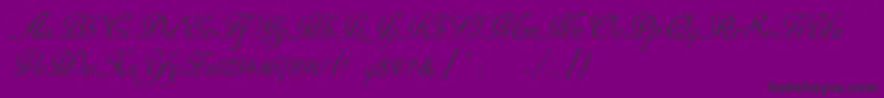 Cansellarist Font – Black Fonts on Purple Background