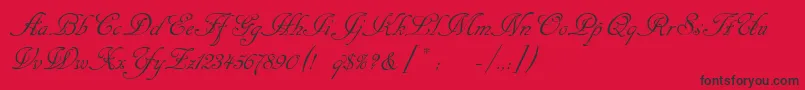 Cansellarist Font – Black Fonts on Red Background