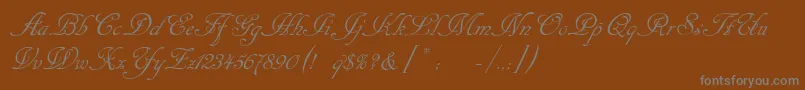 フォントCansellarist – 茶色の背景に灰色の文字