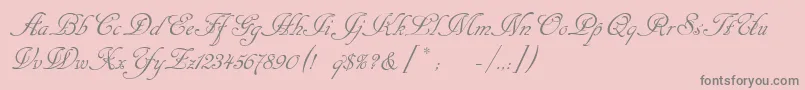 Cansellarist-Schriftart – Graue Schriften auf rosa Hintergrund