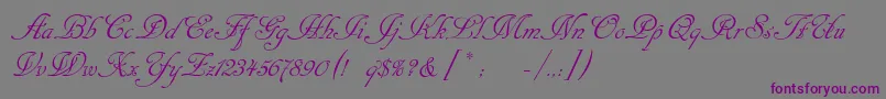 Cansellarist-fontti – violetit fontit harmaalla taustalla