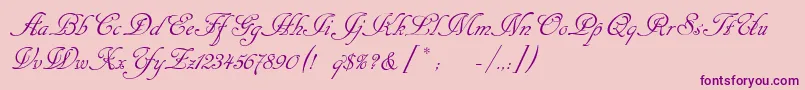 Cansellarist Font – Purple Fonts on Pink Background