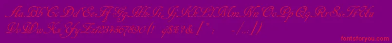 Cansellarist Font – Red Fonts on Purple Background