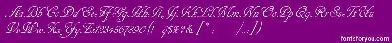 フォントCansellarist – 紫の背景に白い文字