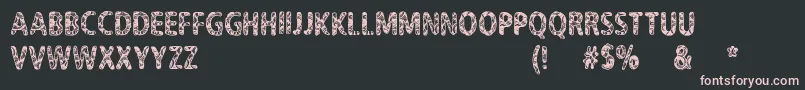 CfNeverTrustAHippyRegular Font – Pink Fonts on Black Background