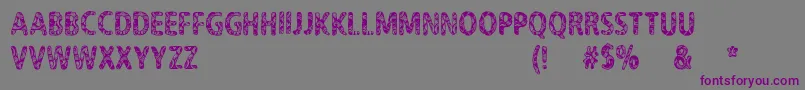 CfNeverTrustAHippyRegular-Schriftart – Violette Schriften auf grauem Hintergrund