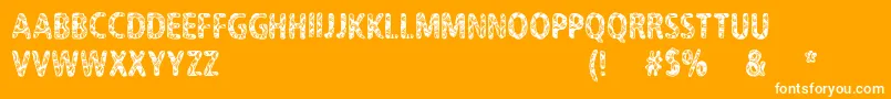 CfNeverTrustAHippyRegular-Schriftart – Weiße Schriften auf orangefarbenem Hintergrund