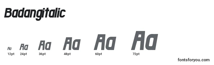 Badangitalic Font Sizes