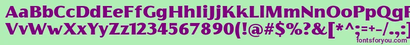 Шрифт FlorentiaBlackTrial – фиолетовые шрифты на зелёном фоне