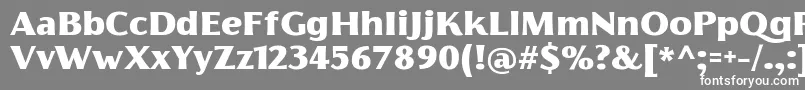 フォントFlorentiaBlackTrial – 灰色の背景に白い文字