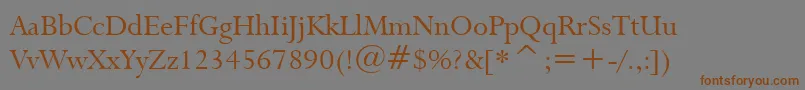 Lapidary333Bt Font – Brown Fonts on Gray Background