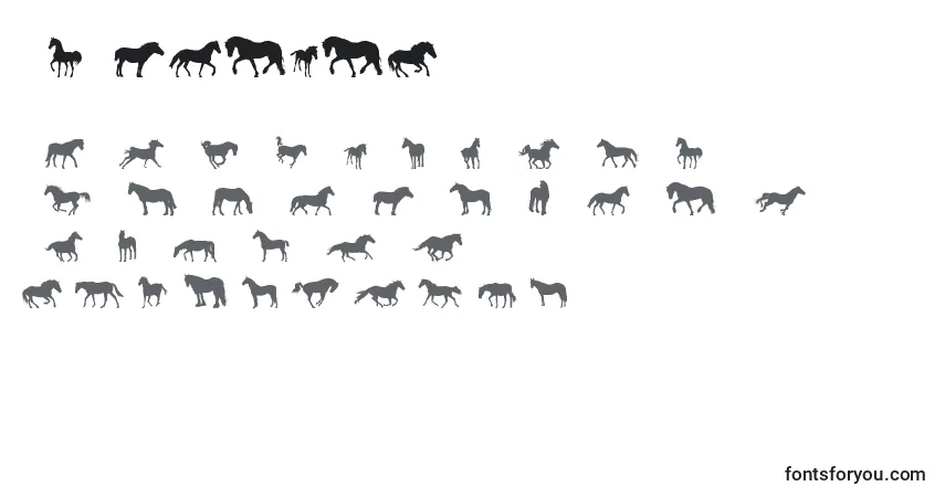 DjHorses1 Font – alphabet, numbers, special characters