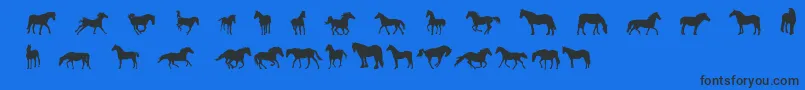 DjHorses1 Font – Black Fonts on Blue Background