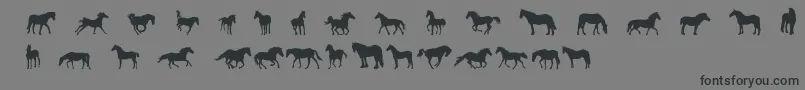 More about DjHorses1 Font DjHorses1 Font – Black Fonts on Gray Background