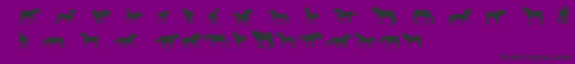 DjHorses1 Font – Black Fonts on Purple Background