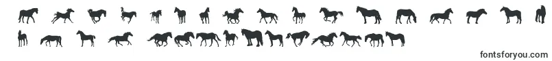 DjHorses1 Font – Horse Fonts