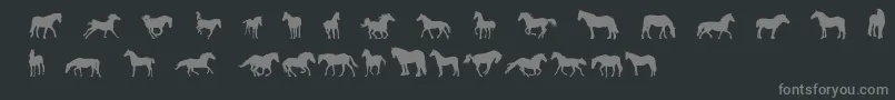 DjHorses1 Font – Gray Fonts on Black Background