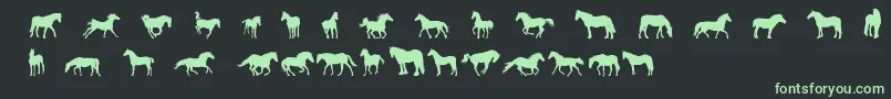 DjHorses1 Font – Green Fonts on Black Background