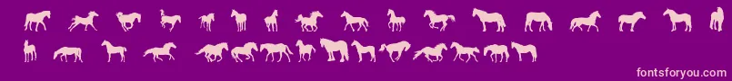 fuente DjHorses1 – Fuentes Rosadas Sobre Fondo Morado