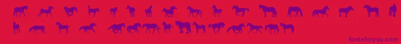 DjHorses1 Font – Purple Fonts on Red Background
