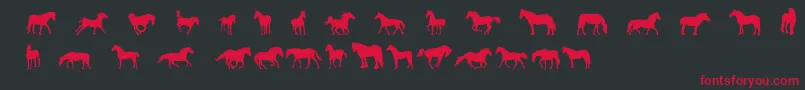 DjHorses1 Font – Red Fonts on Black Background