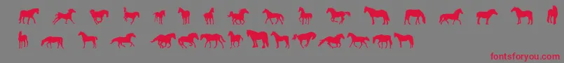 Czcionka DjHorses1 – czerwone czcionki na szarym tle