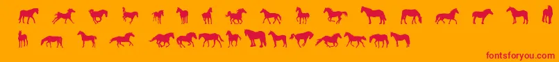 DjHorses1 Font – Red Fonts on Orange Background