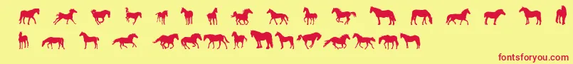 DjHorses1 Font – Red Fonts on Yellow Background