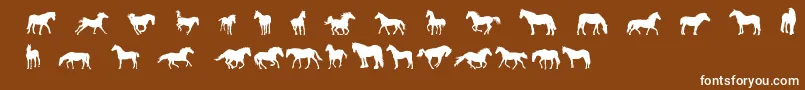 DjHorses1 Font – White Fonts on Brown Background