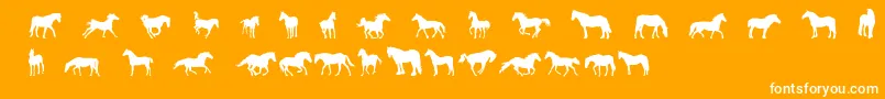 DjHorses1-Schriftart – Weiße Schriften auf orangefarbenem Hintergrund