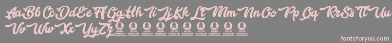 Bestlovers Font – Pink Fonts on Gray Background