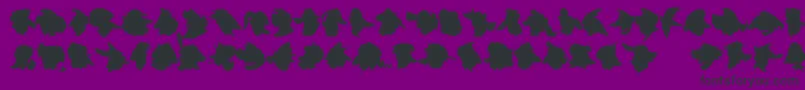 ImprofilLtBlack Font – Black Fonts on Purple Background