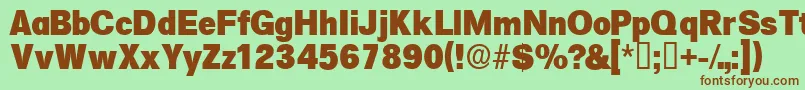 Salinadisplayssk Font – Brown Fonts on Green Background