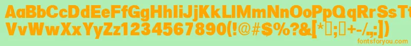 Salinadisplayssk Font – Orange Fonts on Green Background