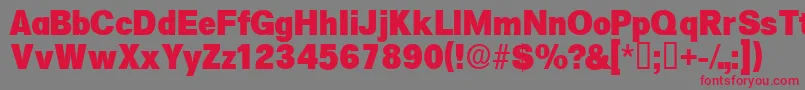 Salinadisplayssk Font – Red Fonts on Gray Background