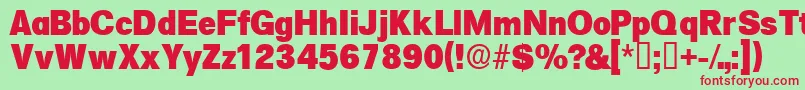 Salinadisplayssk Font – Red Fonts on Green Background