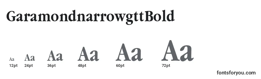 GaramondnarrowgttBold Font Sizes