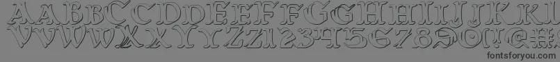 WarsOfAsgard3D Font – Black Fonts on Gray Background