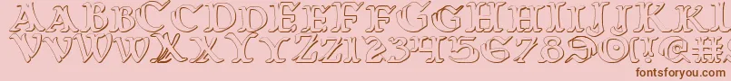 WarsOfAsgard3D Font – Brown Fonts on Pink Background