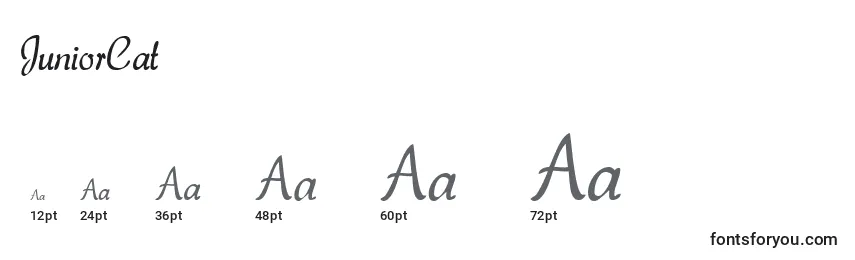 JuniorCat Font Sizes