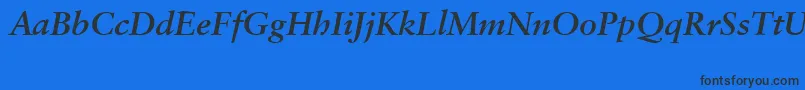 SabonCeBolditalic Font – Black Fonts on Blue Background