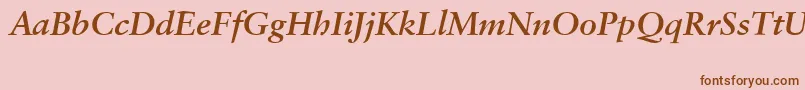 En savoir plus sur la police SabonCeBolditalic Police SabonCeBolditalic – polices brunes sur fond rose